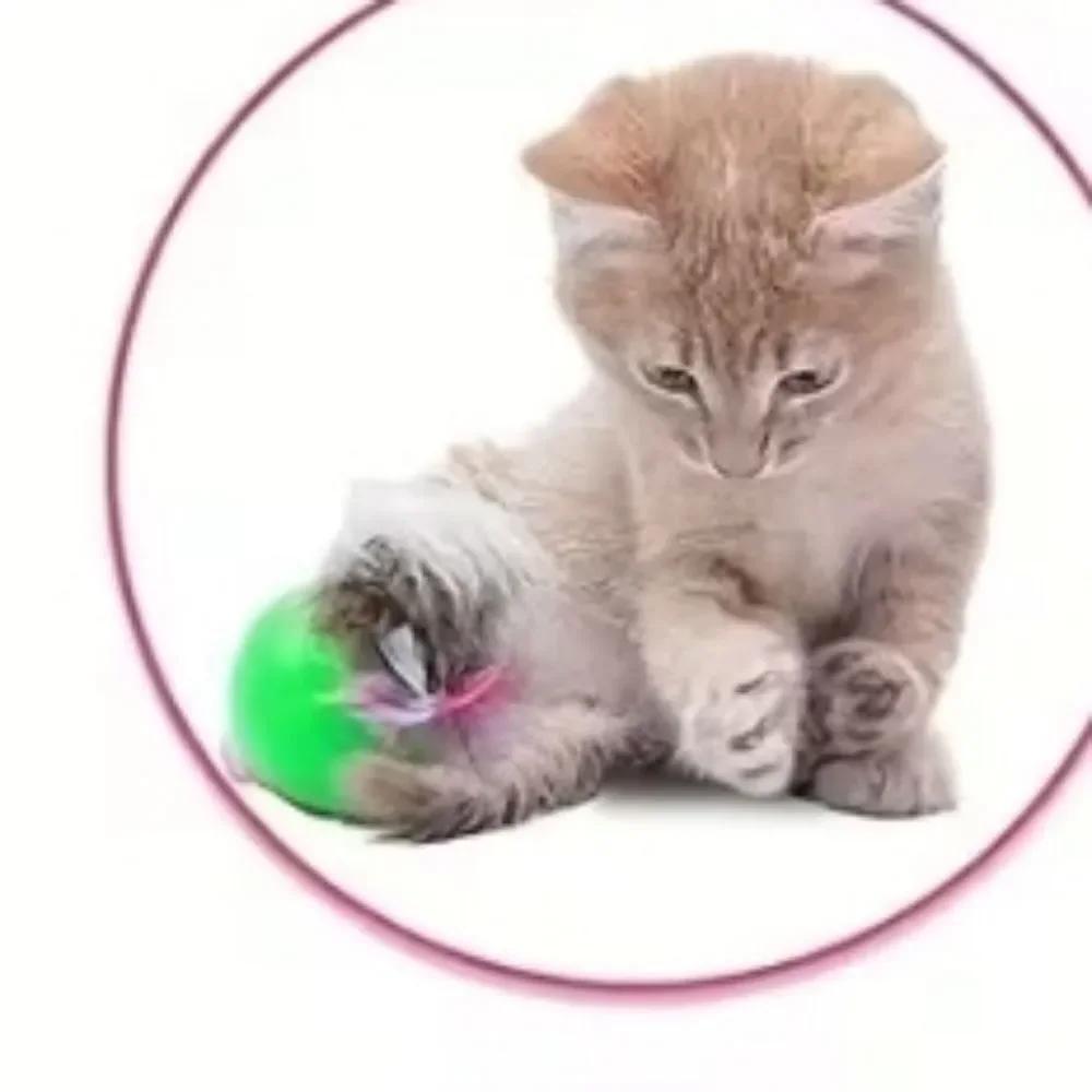 Interactive Furry Toy for Small Pets Pink Feather Toys Cat Kitty Colorful